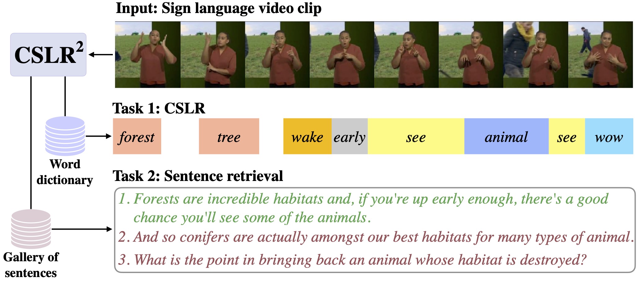 A Tale of Two Languages: Large-Vocabulary Continuous Sign Language Recognition from Spoken Language Supervision