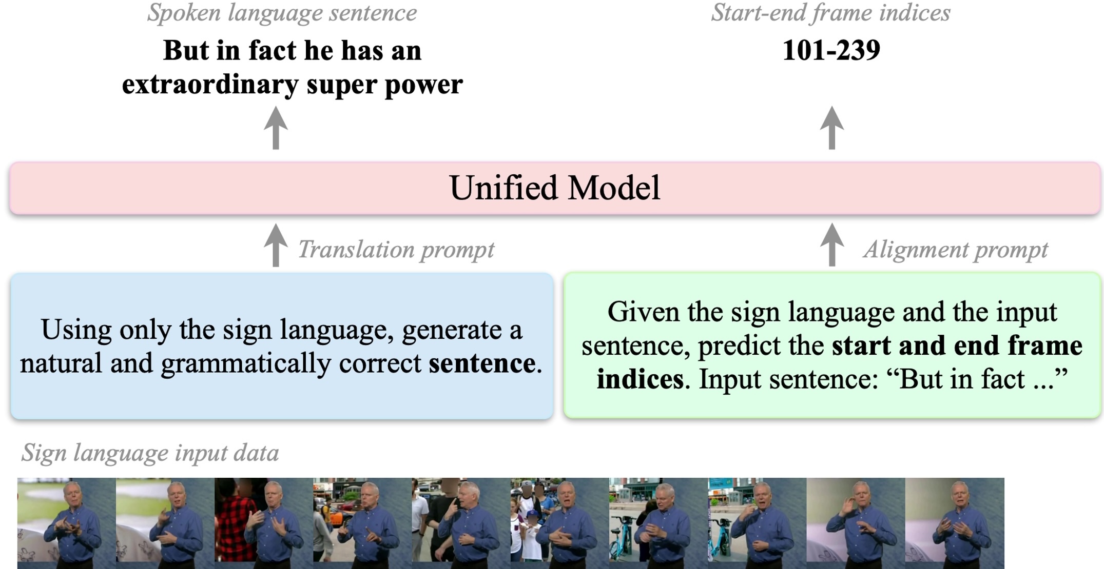 Lost in Translation, Found in Embeddings: Sign Language Translation and Alignment